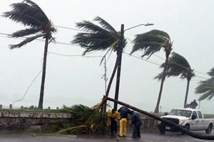 Uragano Matthew sulla Florida, 300 morti ad Haiti