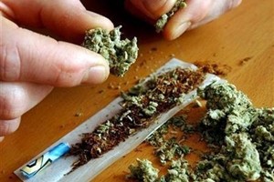 Cannabis avanti tutta, alla Camera depositate 57mila firme: “Legalizziamola”