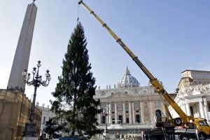 albero-san-pietro