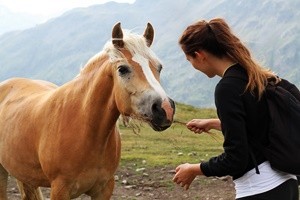 Pet Therapy, quando uomini e cavalli interagiscono