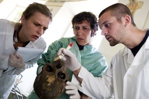 Torna in Sicilia cranio con tracce di antica neurochirurgia