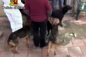 lancia-in-aria-cagnolini-e-li-colpisce-con-una-mazza_20161114_video_15584488-2