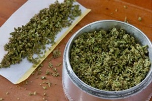 La California legalizza marijuana per uso ricreativo. La Florida uso medico