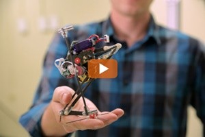 “Salto” il robot saltatore che potrebbe aiutare in caso di sisma