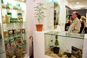 Uruguay, a Montevideo apre il museo della cannabis