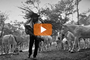 E’ online il nuovo video di Vinicio Capossela “Scorza di Mulo”