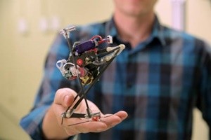 “Salto” il robot saltatore che potrebbe aiutare in caso di sisma