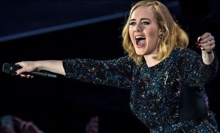 Adele rimprovera la security: "Lasciate ballare la gente"