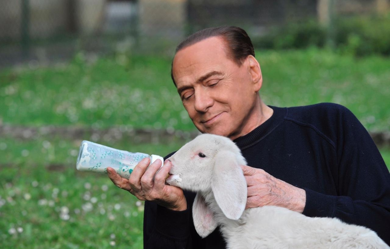 Berlusconi salva cinque agnelli pasquali, adottati ad Arcore. Brambilla: “Va scelta la vita”
