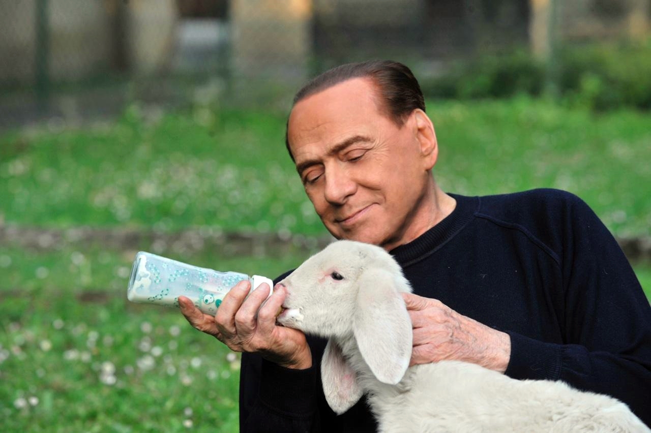 Berlusconi salva cinque agnelli pasquali, adottati ad Arcore