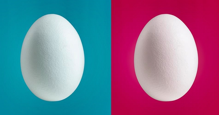 Twitter dice addio all’uovo del profilo anonimo