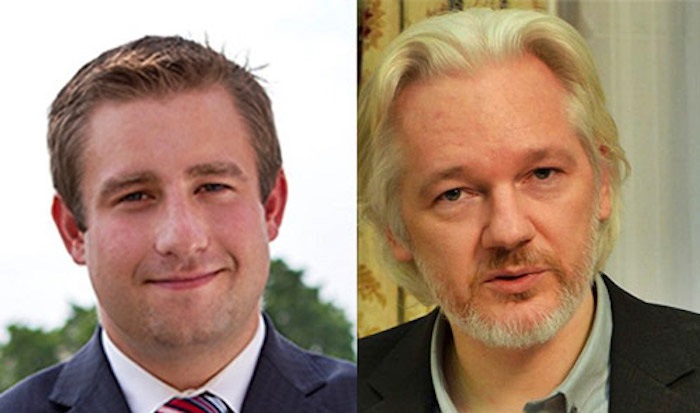 Elezioni e spionaggio. Attivista democratico ucciso, era la talpa di WikiLeaks?
