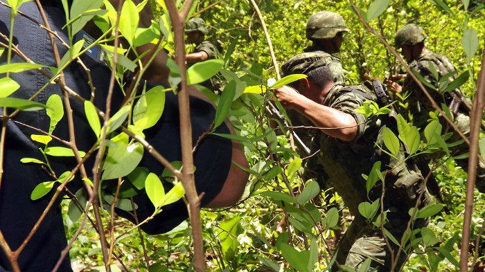 Colombia, presidente Santos lancia piano per soppiantare coca con “prodotti legali”