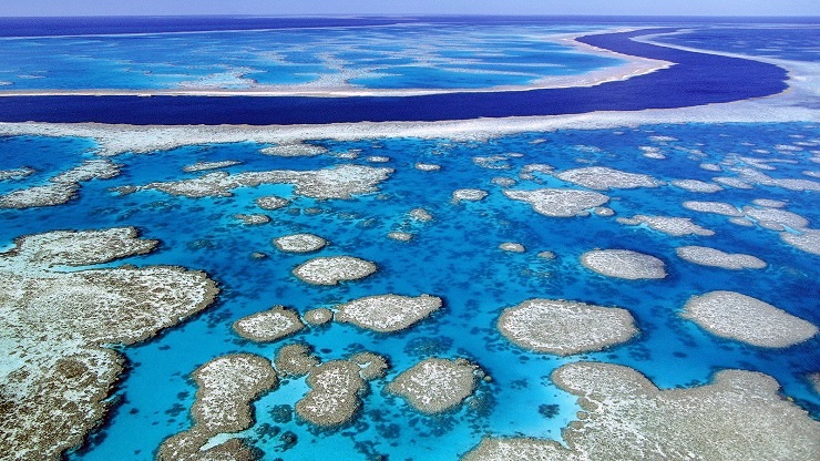 Australia, quanto vale la Barriera Corallina? 37 miliardi euro