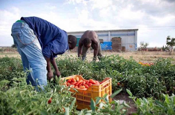 Morte 12 immigrati nel Foggiano, indagati 3 operatori agricoli