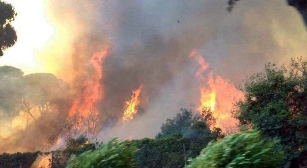 incendio, castelfusano, raggi, protezione civile
