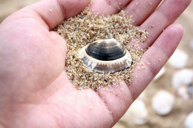 Sabbia, sassi o conchiglie come souvenir? In Sardegna multe fino a 3mila euro