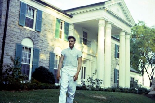 Elvis Presley, 20 mila dollari per una settimana nella sua casa a Beverly Hills