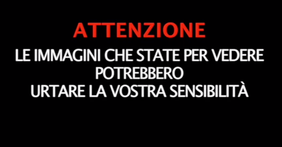 capture-20170817-221935