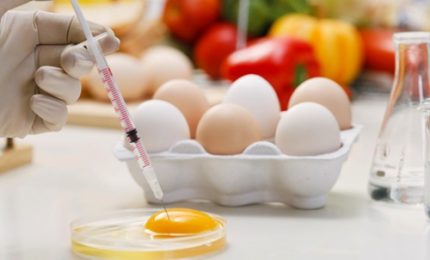 Milioni di uova contaminate, Olanda nel mirino. Perché è scoppiato scandalo