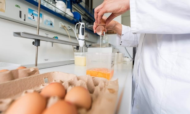 Uova contaminate, allarme nei Paesi Bassi. Milioni di galline abbattuti. Italia rassicura