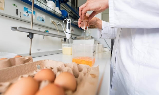 Sequestrati 7 milioni di uova al Fipronil