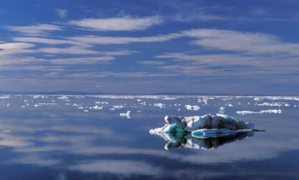 Allarme plastica nell'Artico russo, nasce ong ambientalista