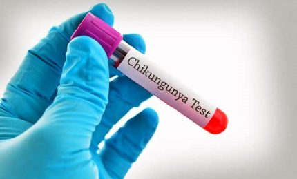 Chikungunya, quattro casi anche in provincia di Latina