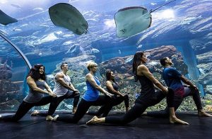 dubai_marina_underwater_yoga_base