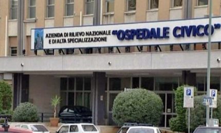 Formiche in terapia intensiva, chiuso reparto ospedaliero a Palermo