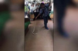 Giacarta, serpente, metrò,