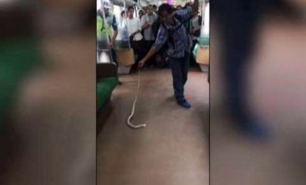 Giacarta, cattura serpente nel metrò e lo uccide a mani nude