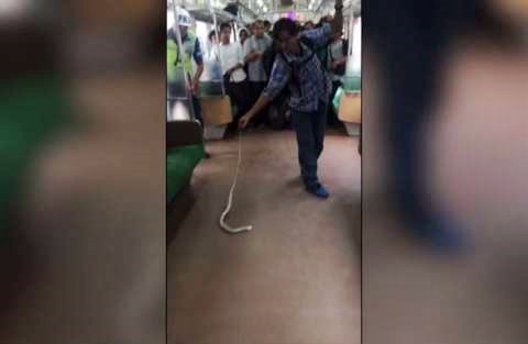 Giacarta, serpente, metrò,