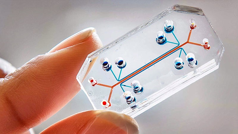 Esami diagnostici rapidi e a casa propria, il futuro della diagnosi tascabile grazie ai Lab-on-a-Chip