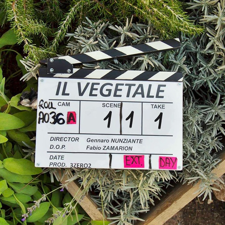 il-vegetale-fabio-rovazzi-gennaro-nunziante-film-disney