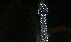 Le luminarie falliche di Civitanova Marche conquistano il web. "Abbiamo regalato un sorriso"