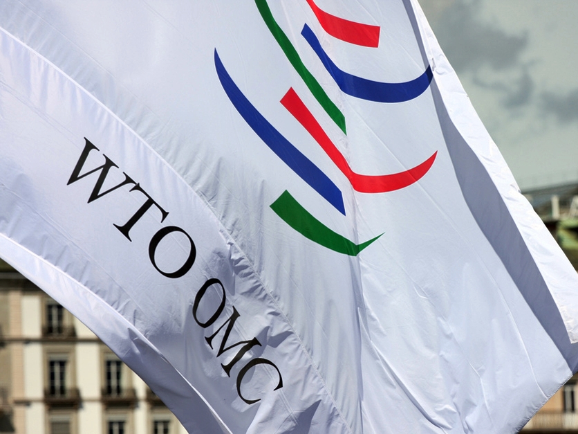 WTO_flag