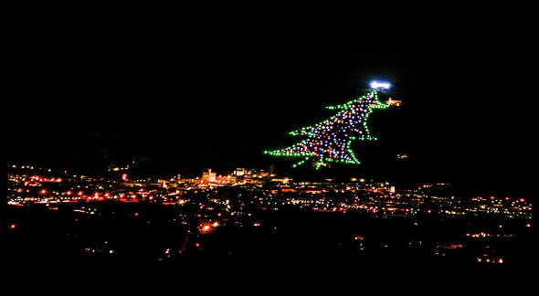 albero.gubbio.articolo2