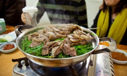 Cala la domanda di carne di cane in Corea del Sud. Chiuso allevamento a Seoul