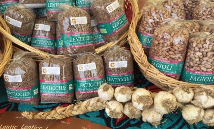 Agroalimentare: ok Ue a Igp per lenticchia di Altamura