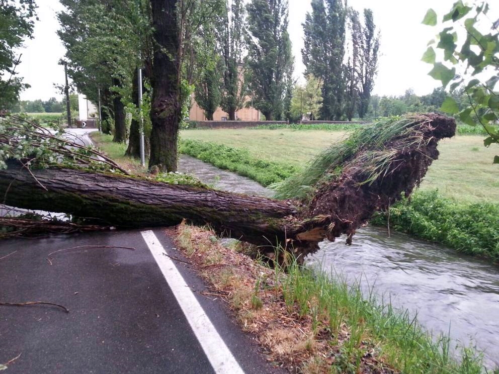 Maltempo, 2 uomini morti travolti da alberi