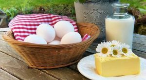 Uova-latte-e-formaggi-ricchi-di-proteine