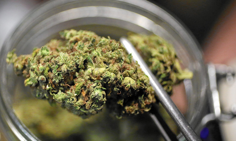 La cannabis sintetica può causa ictus tra i giovani