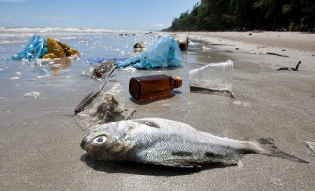 Tutti gli imballaggi di plastica dovranno essere riciclati