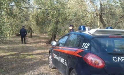 Coppia anziani morti in canale ad Aquileia, forse omicidio-suicidio