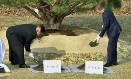 Kim Jong Un e Moon Jae-in piantano l'albero della pace ritrovata