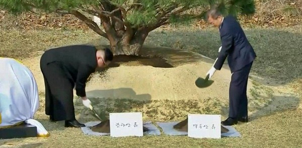 Kim Jong Un e Moon Jae-in piantano l’albero della pace ritrovata