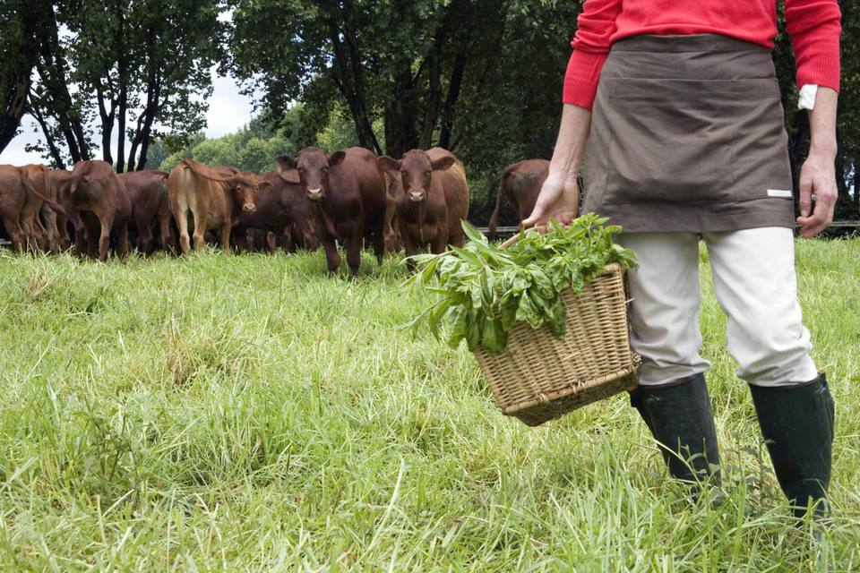 Sempre più giovani con la zappa, cresce il popolo degli hobby farmers