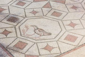 VMS_Dettaglio_Stanza_degli_Uccelli_03