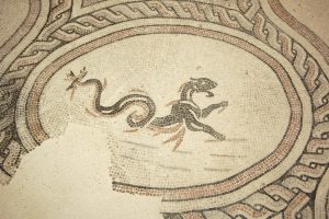 VMS_triclinio_dettaglio_10